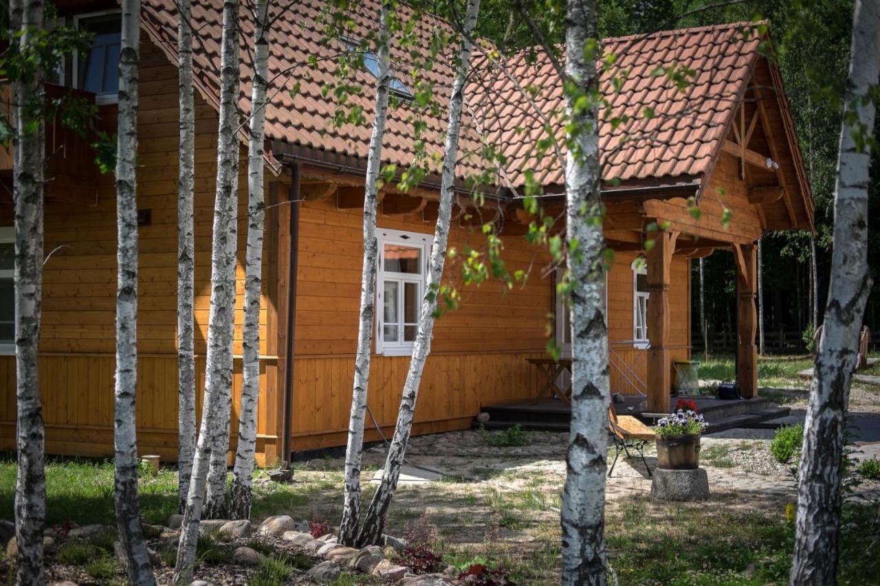 Miodowa Kolonia Bed & Breakfast Białowieża Dış mekan fotoğraf
