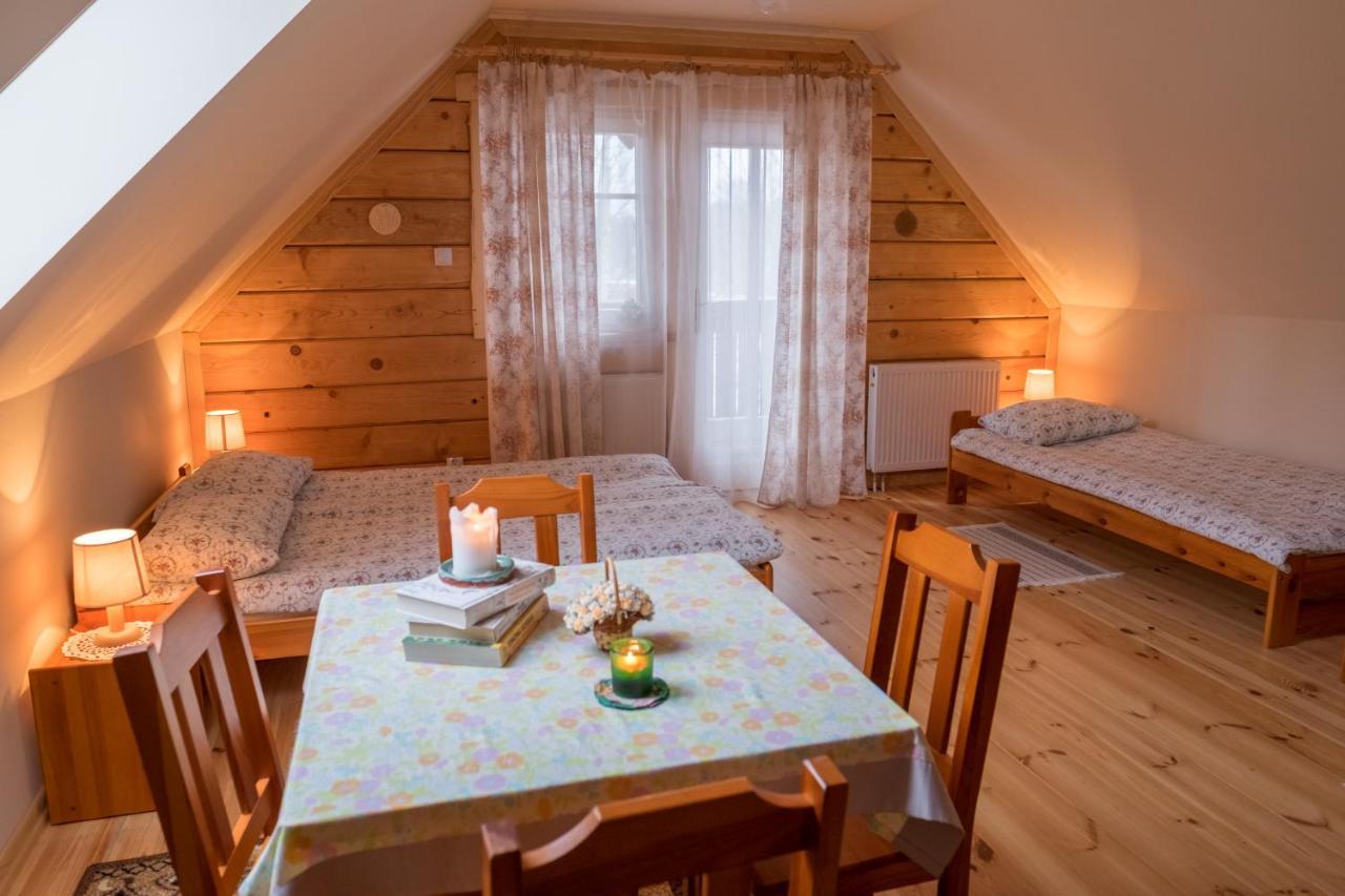 Miodowa Kolonia Bed & Breakfast Białowieża Dış mekan fotoğraf